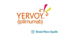 YERVOY